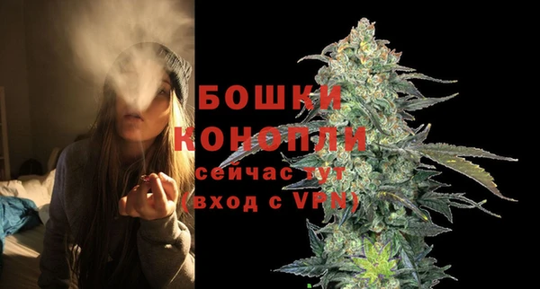 дмт Галич
