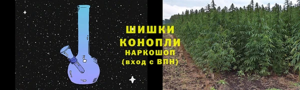 ALPHA-PVP Гвардейск